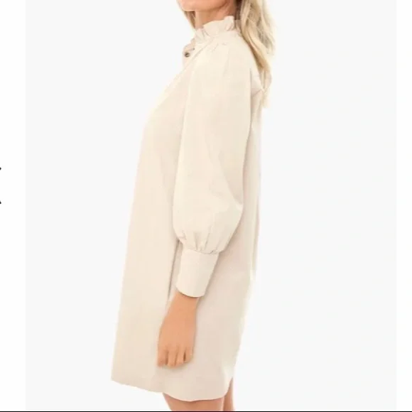 Tan Claiborne Dress POMANDER PLACE - Picture 3 of 15